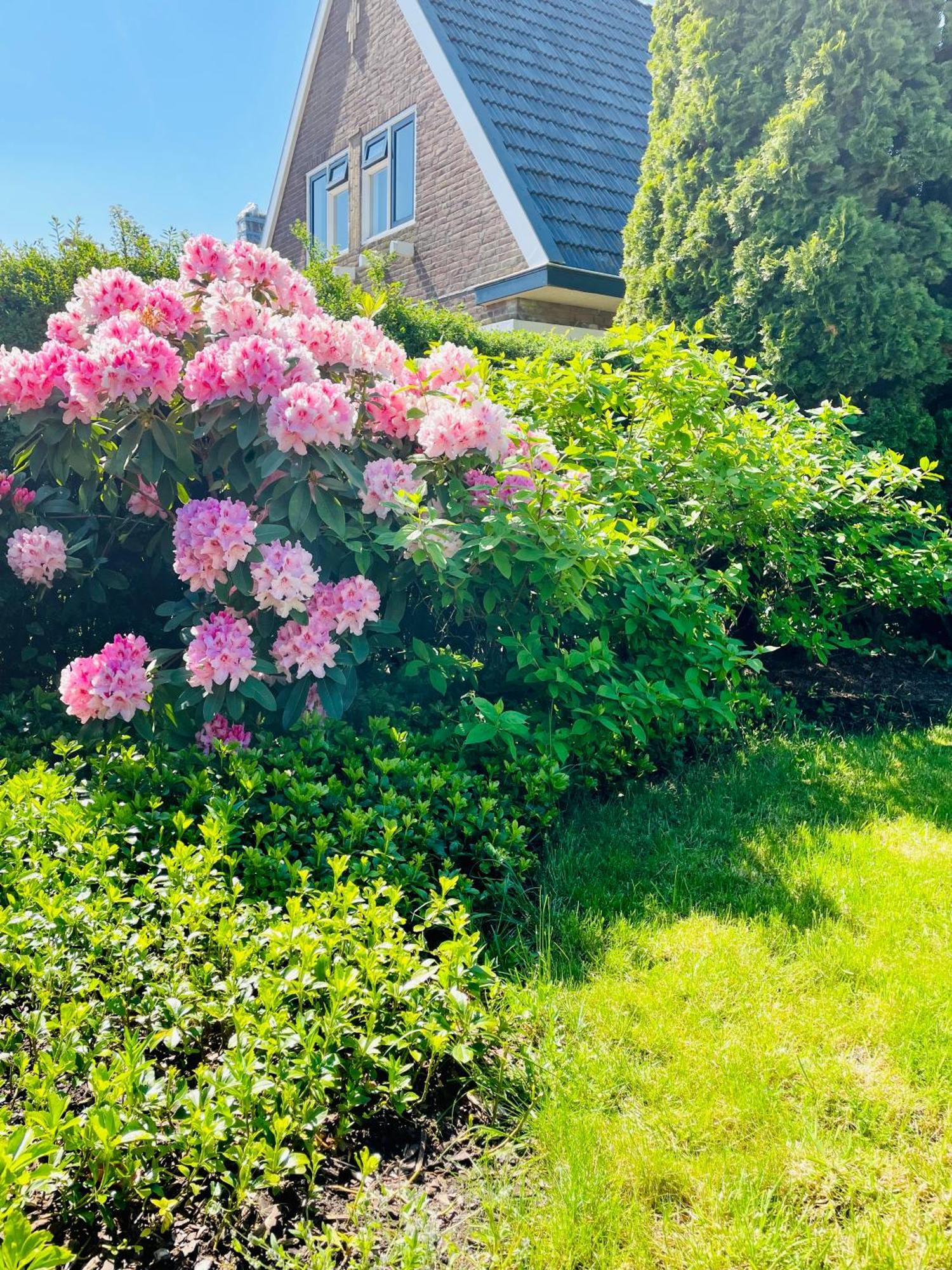 Herberg Het Rechthuis Rinsumageest Exterior foto